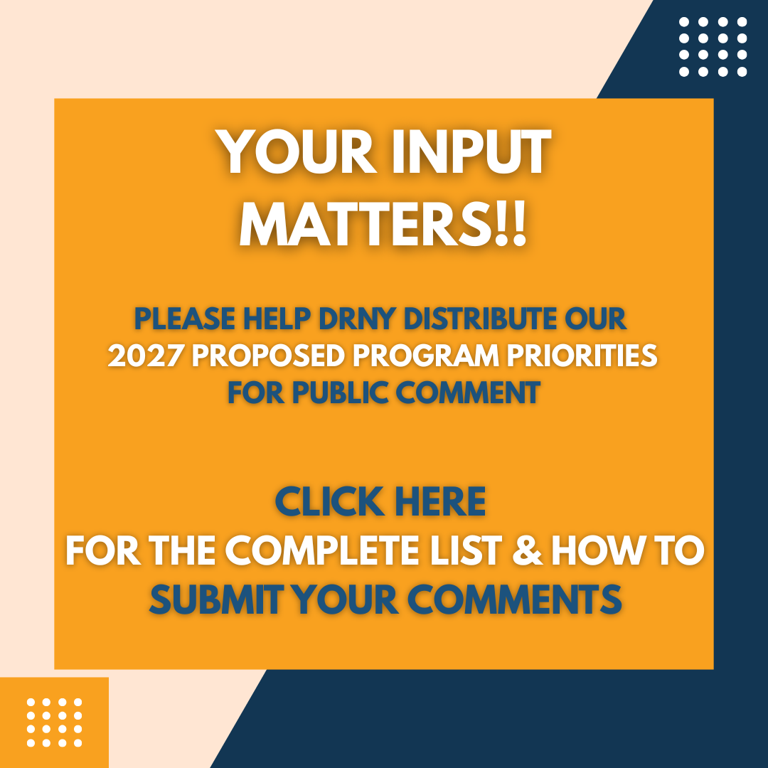 Your Input Matters DRNY logo decorative 2027 Priorities